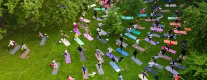 Un groupe de personnes s’adonne au yoga dans un parc.