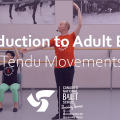 Introduction to adult ballet; tendu movements