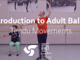 Introduction to Adult Ballet: Tendu Movements