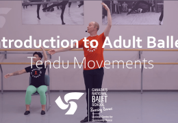 Introduction to Adult Ballet: Tendu Movements