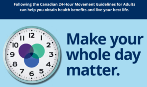 24 Hour Movement Guidelines for Adults