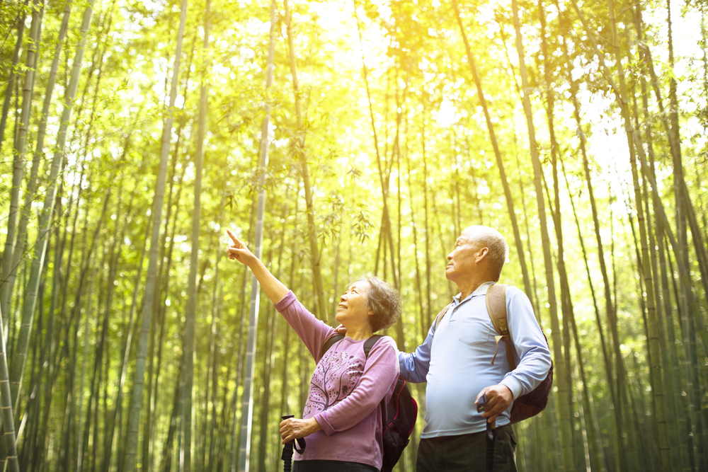 seniors in a forest