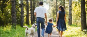 A family walking their dog in summer.