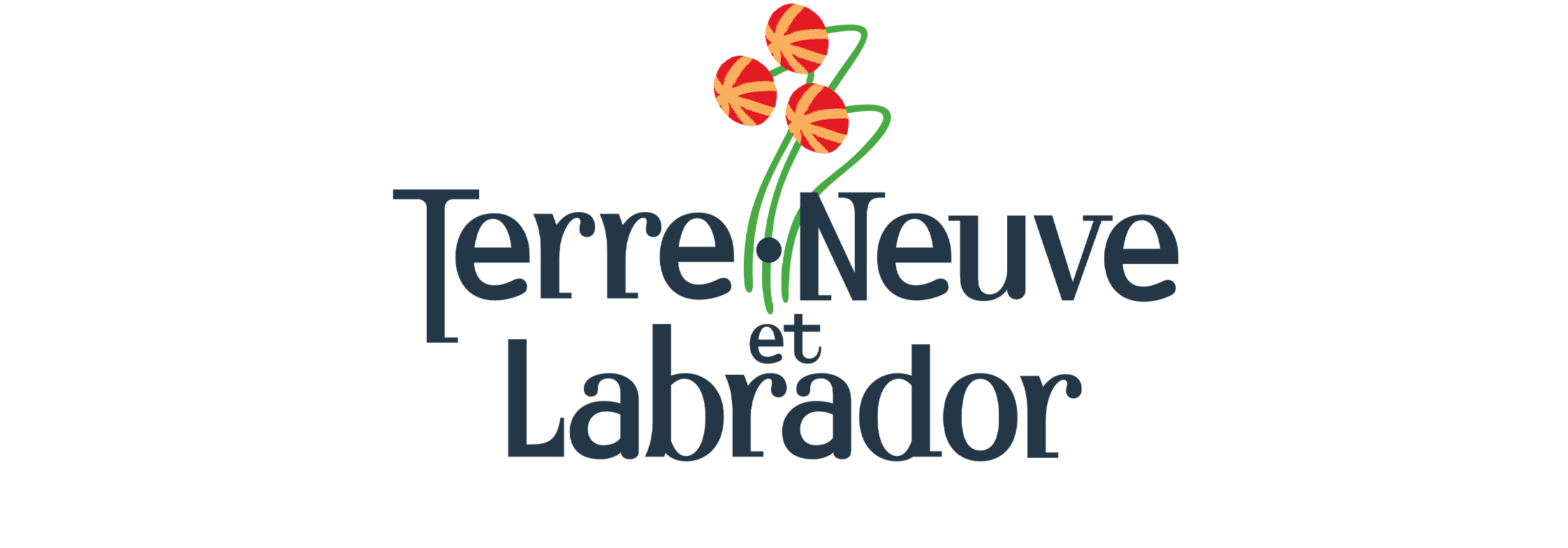 Terre neuve et labrador logo