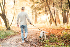 Man,Walking,With,Dog,Labrador,In,The,Park.