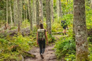 Deux personnes marchent sur un sentier.