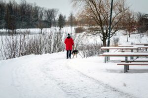 Walking a dog in the snow