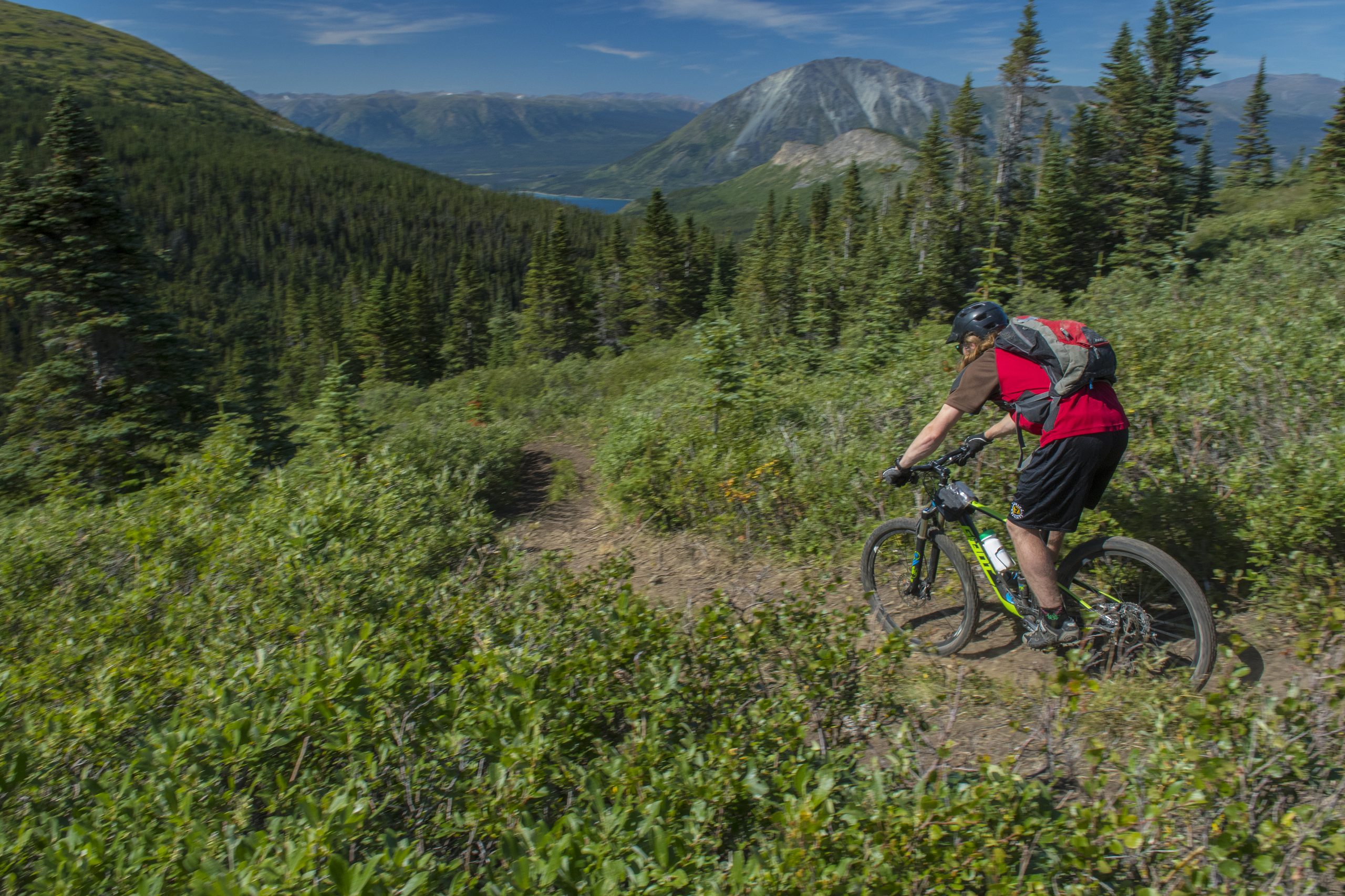 A person cycling on a nature trail with mountains in the background. 