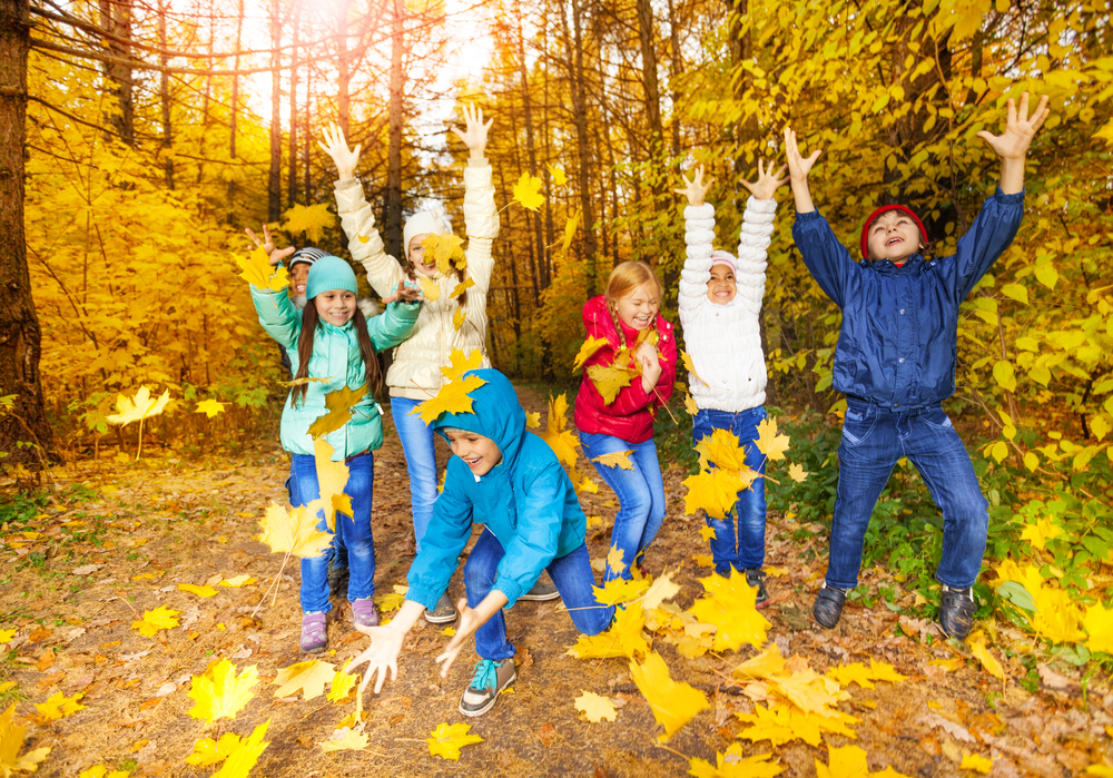 Dans la forêt, des enfants lancent des feuilles d’arbres dans les airs. Dans la forêt, des enfants lancent des feuilles d’arbres dans les airs.