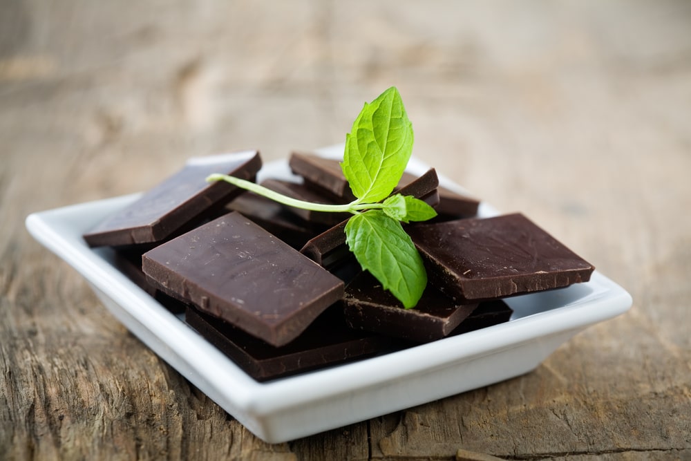 Une assiette de chocolat noir agrémentée d’une feuille de menthe Une assiette de chocolat noir agrémentée d’une feuille de menthe