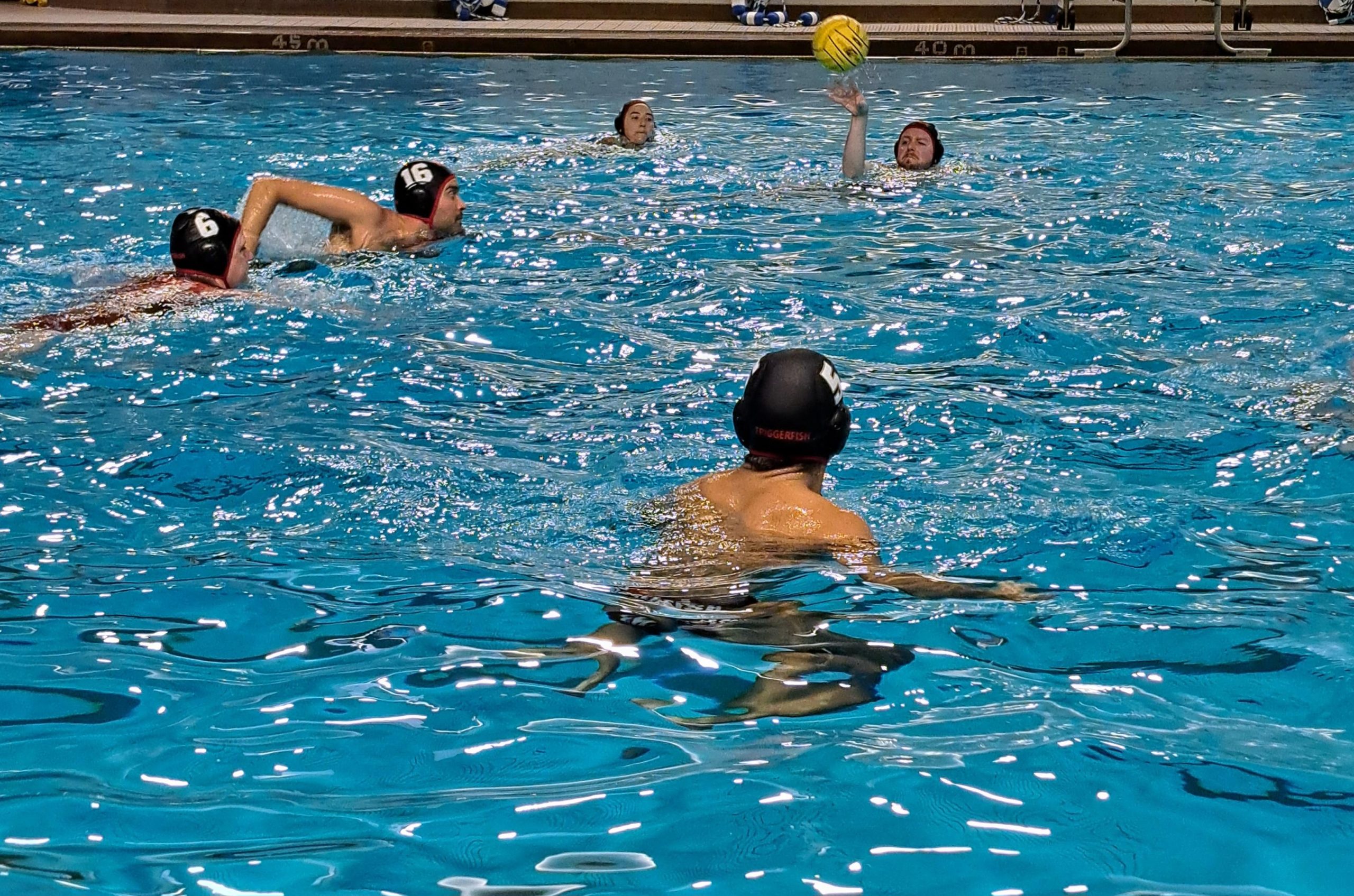 A group of people playing water polo in an indoor pool. A group of people playing water polo in an indoor pool.