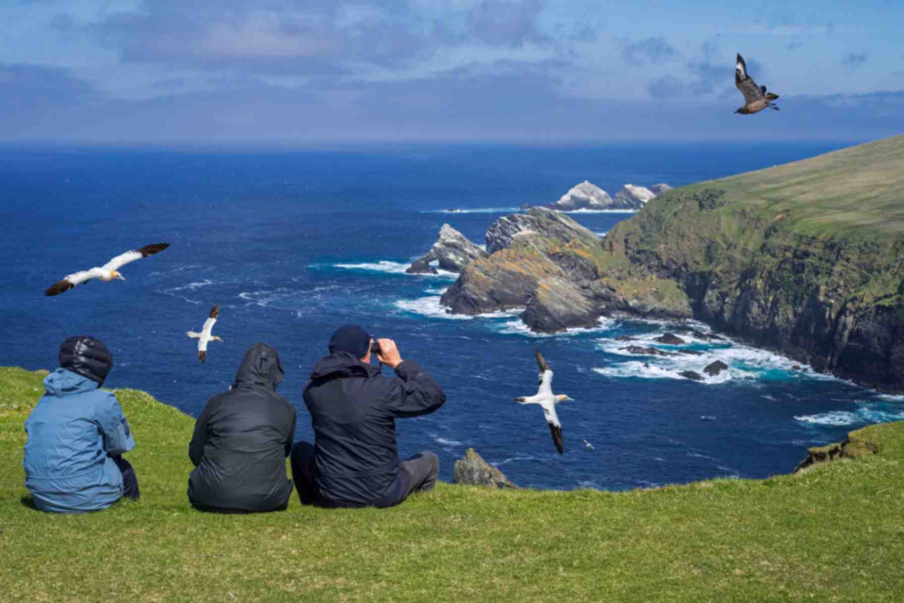 Des personnes assises sur une falaise regardant les oiseaux voler au-dessus de l’océan Des personnes assises sur une falaise regardant les oiseaux voler au-dessus de l’océan