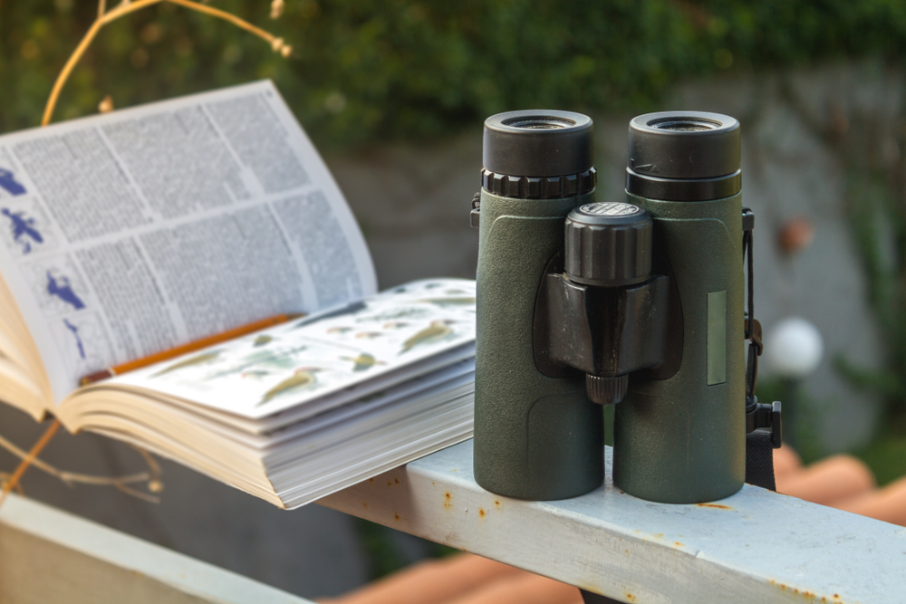 A bird field guide and binoculars on a railing. A bird field guide and binoculars on a railing.
